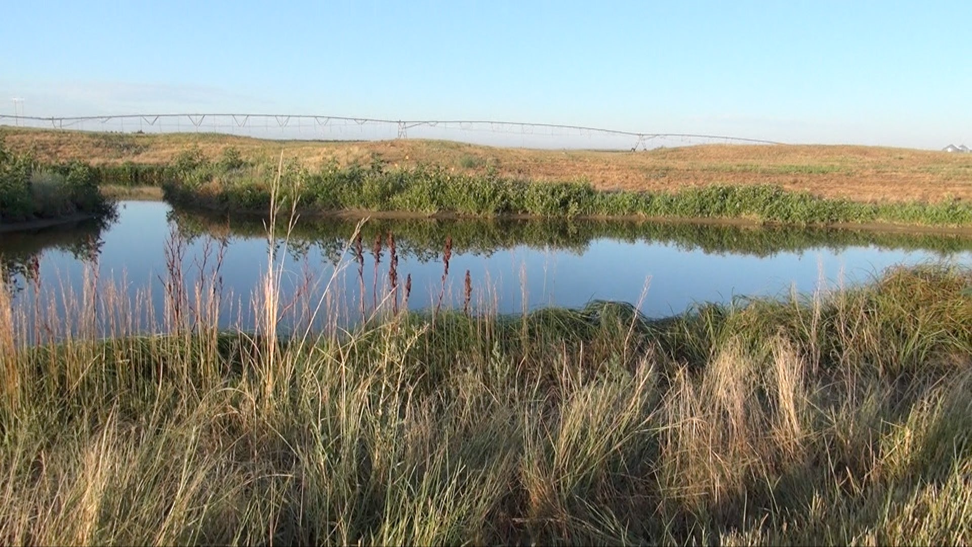 In this wet summer this recharge pond near Sterling still has water