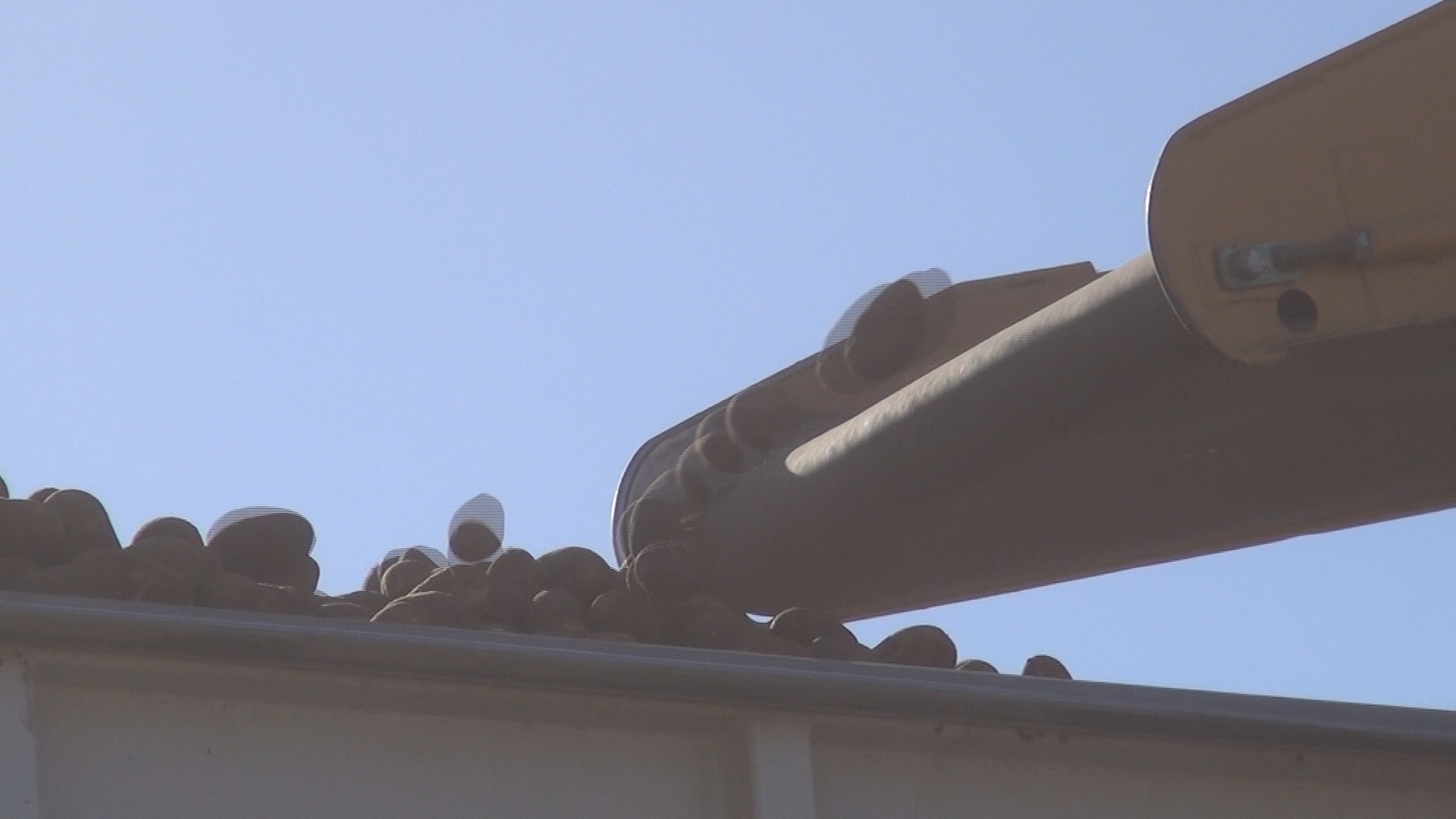 Ogallala - Conveyor Belt Loading in Potatoes near Wray